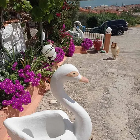 Elenh House Argostoli (Kefalonia)