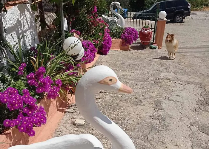 Elenh House Argostoli (Kefalonia)